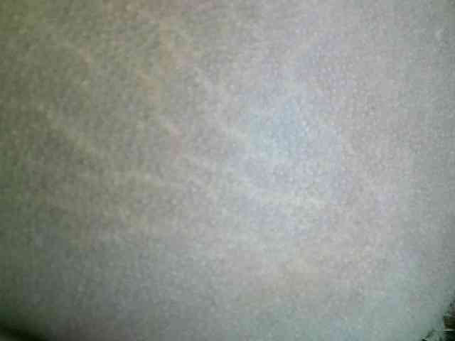 Avrilhunt webcam