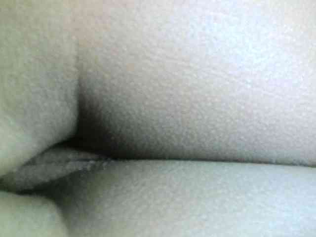 Avrilhunt
