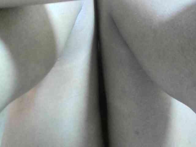 Avrilhunt webcam