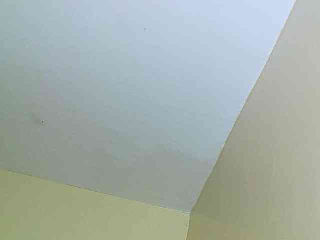 Avrilhunt webcam