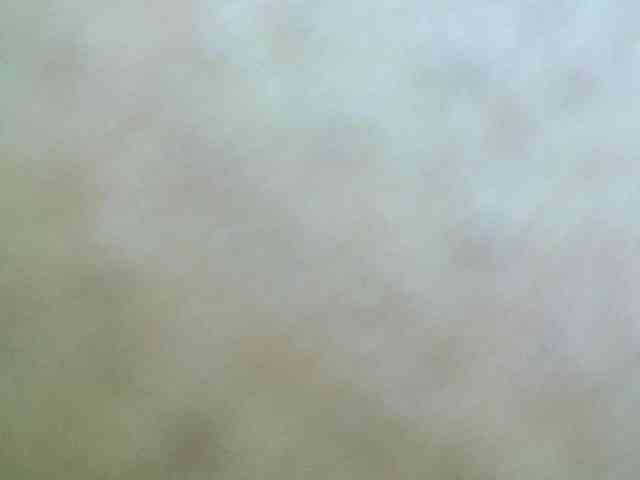 Avrilhunt webcam