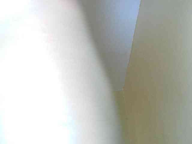 Avrilhunt webcam