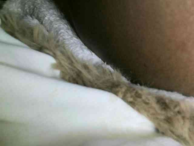 Avrilhunt webcam