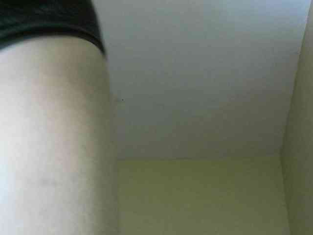 Avrilhunt