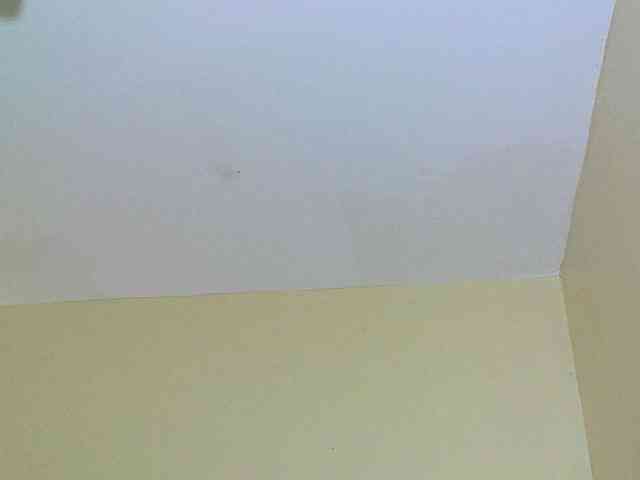 Avrilhunt webcam