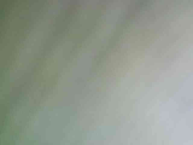 Avrilhunt webcam