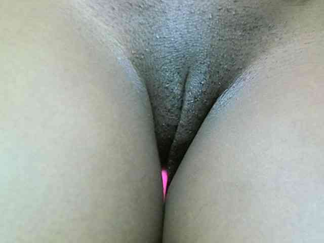 Avrilhunt