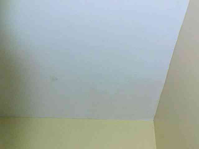Avrilhunt webcam