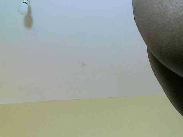 Avrilhunt webcam