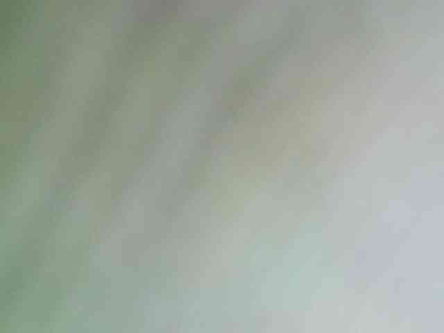 Avrilhunt webcam
