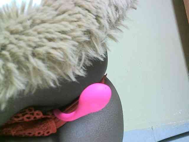 Avrilhunt webcam