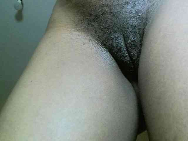 Avrilhunt