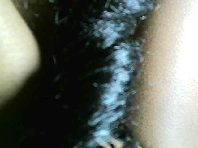 Avrilhunt webcam