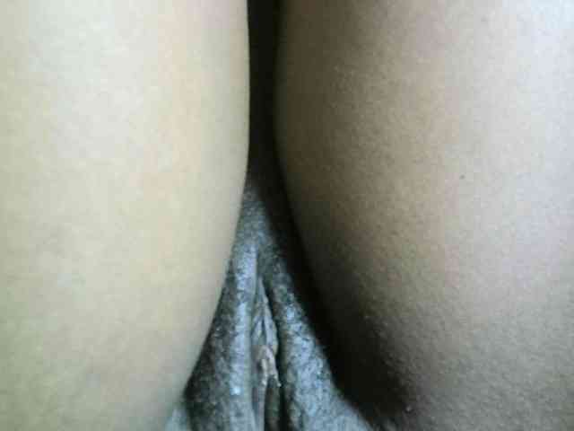 Avrilhunt