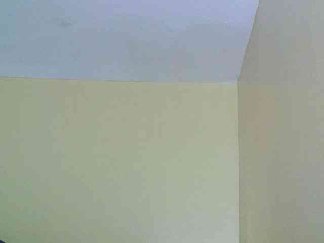 Model: Avrilhunt