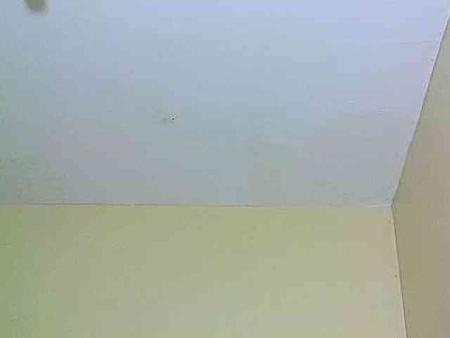 Avrilhunt webcam