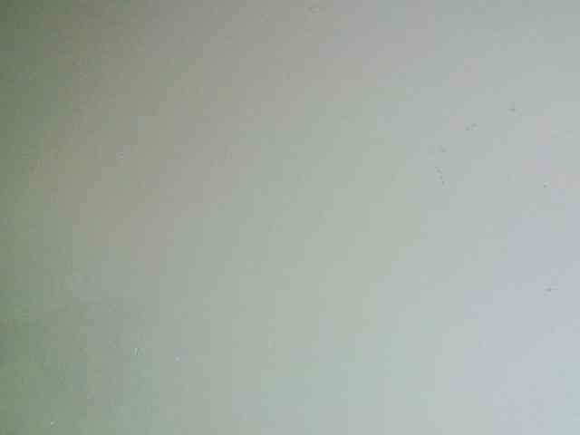 Avrilhunt webcam