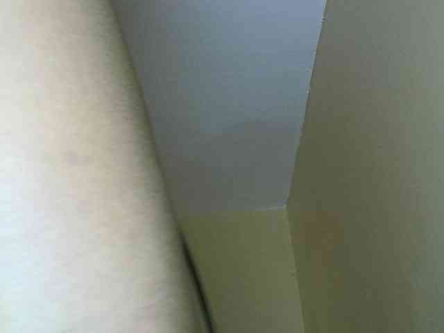 Avrilhunt webcam