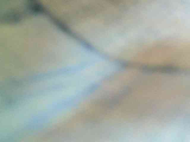 Avrilhunt webcam