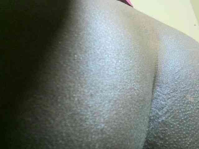 Avrilhunt webcam