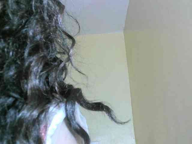 Avrilhunt