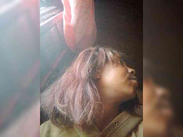 Santanah webcam