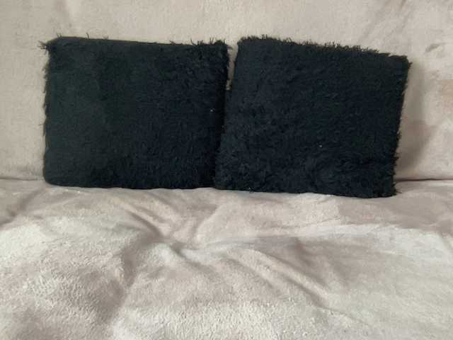  BestyBoobs chat room