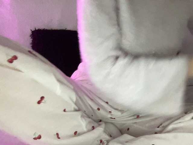 BestyBoobs