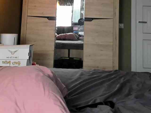 Dark-Willlow webcam