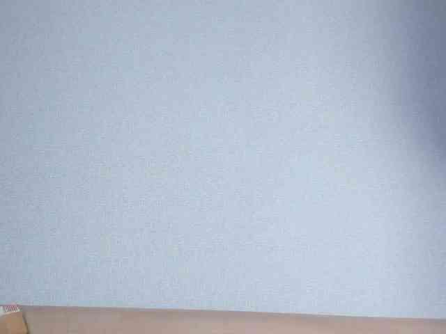 Dark-Willlow webcam