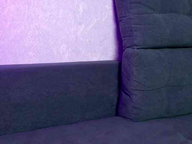 Dark-Willlow webcam