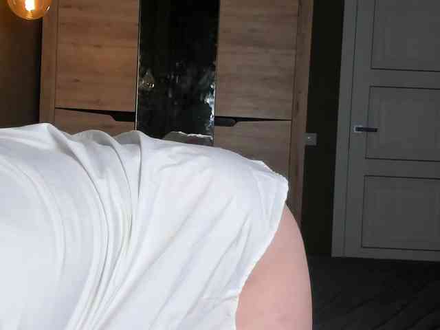 Dark-Willlow webcam