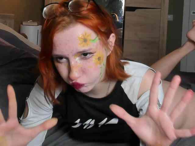 Dark-Willlow webcam