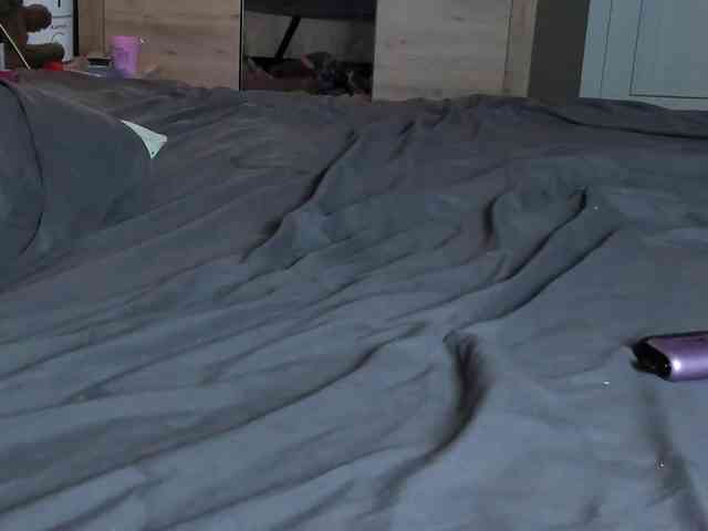 Dark-Willlow webcam