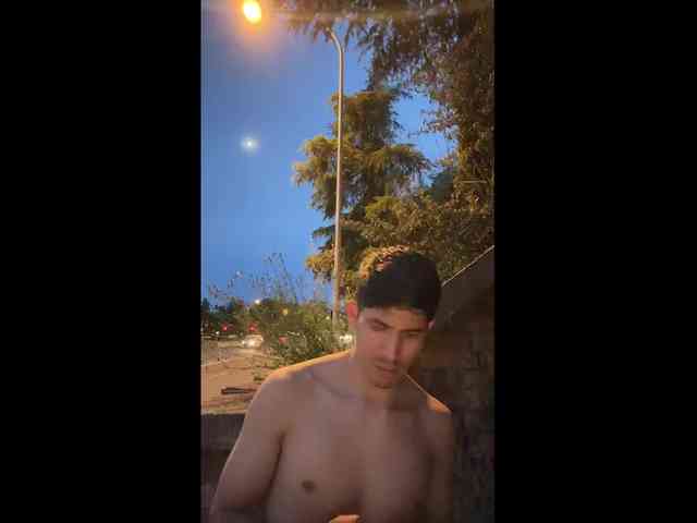 Twosebas Live Webcam on BongaCams