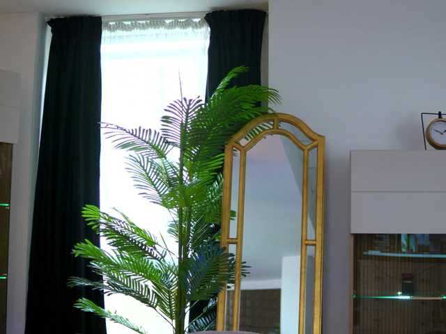 Preview of zenyanoir