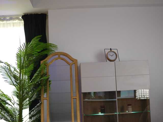 Preview of zenyanoir