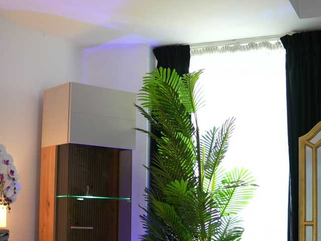 ZenyaNoir live cam