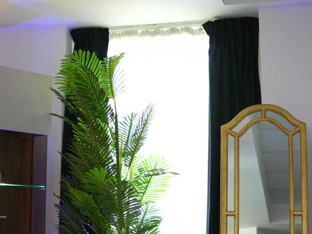 ZenyaNoir live cam on BongaCams