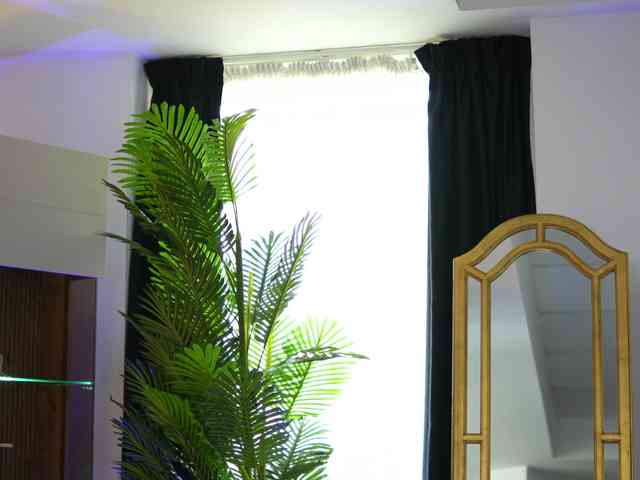 ZenyaNoir webcam