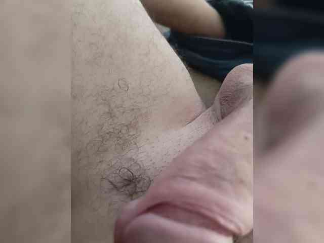 Kyni699