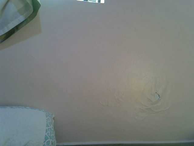 Ebonybootygirl's BongaCams show and profile