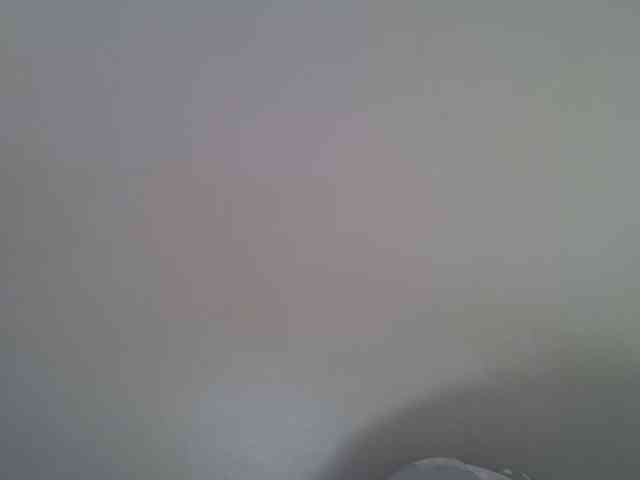 Ebonybootygirl webcam