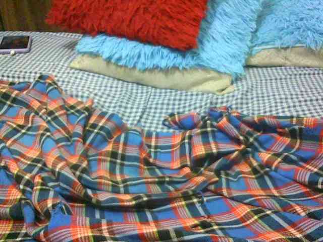 Babybrown webcam