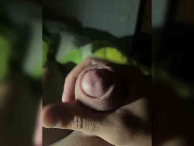 Stravbary Stravbary