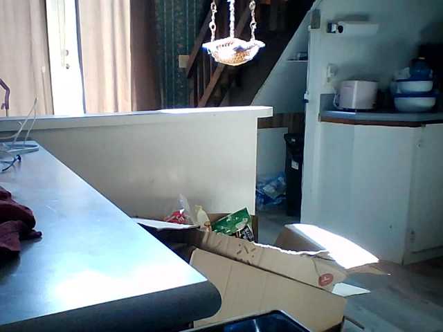 starlight1983 live cam on BongaCams