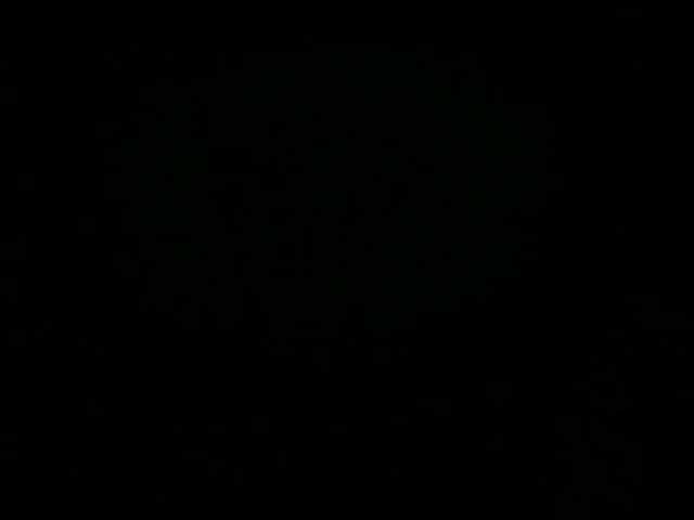 starlight1983 live cam preview