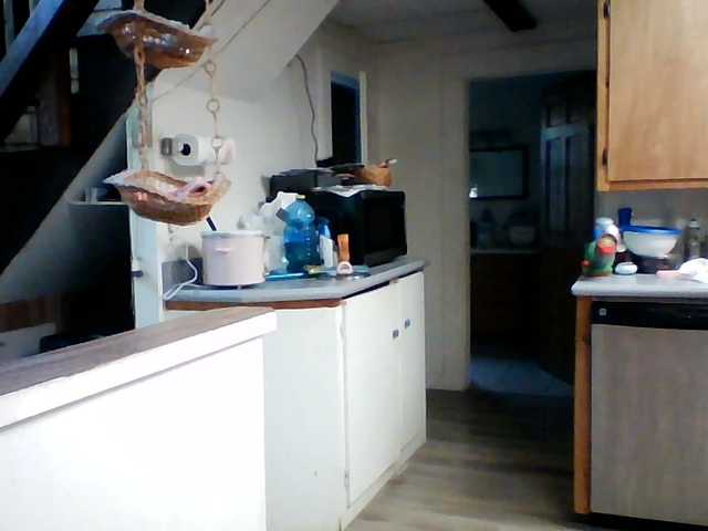 starlight1983 live cam preview