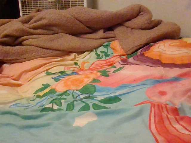 starlight1983 live cam on BongaCams