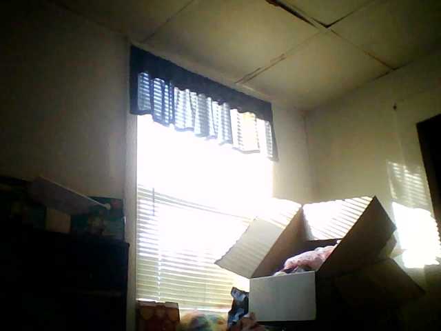 starlight1983 webcam